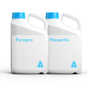 Pachet Maxentis Pro ADAMA